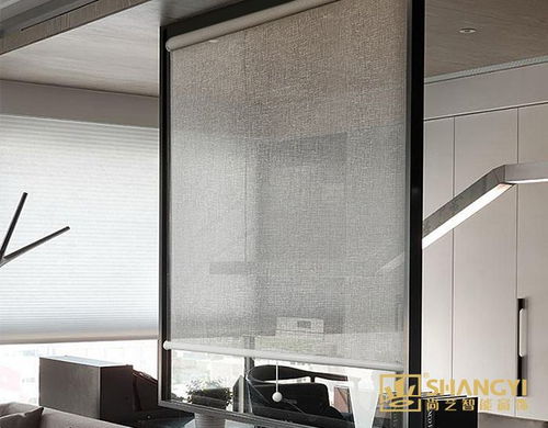 南京尚艺智能窗饰 卷帘