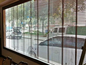 江门遥控百叶帘供应商 升降 防晒 手动拉珠 消音 满满窗饰