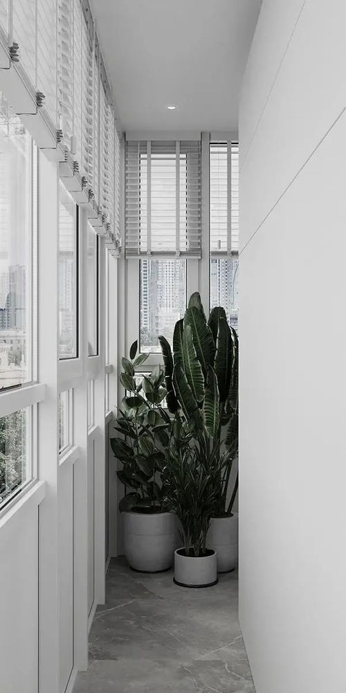 居家窗饰遮阳如何选择