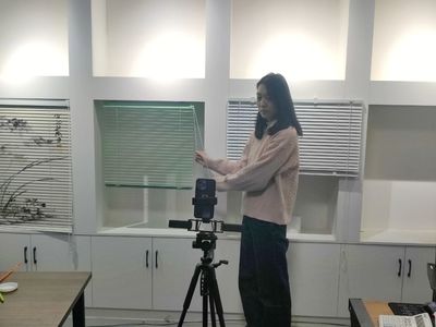 小窗帘撬动大产业，电商连通致富路——窗饰产业的兴旺发展与电商转型之路