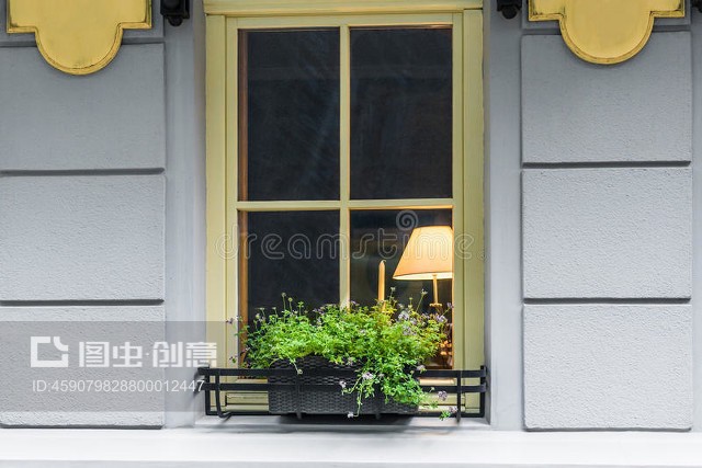 窗饰花盆Window decorated flowerpot