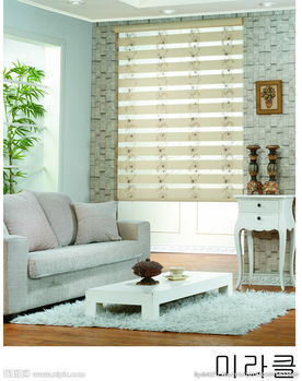 窗帘窗饰 家居美学的点睛之笔